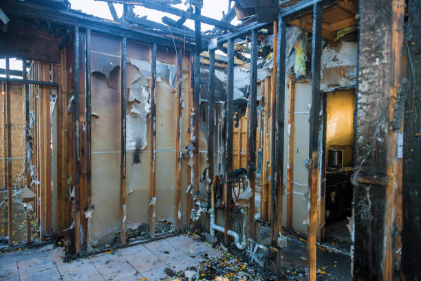 Professional Smoke Damage Removal technician working in Auburn, WA